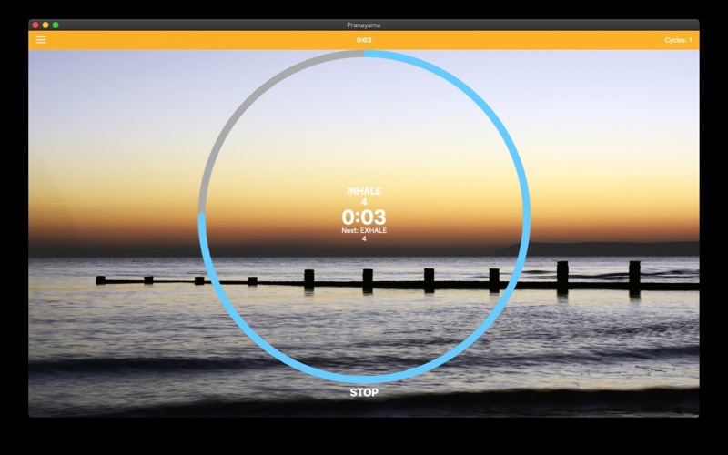 Screenshot #2 pour Pranayama Breathing Yoga Timer