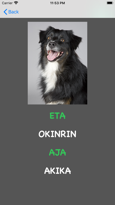 Screenshot #3 pour Yoruba Animal Quiz