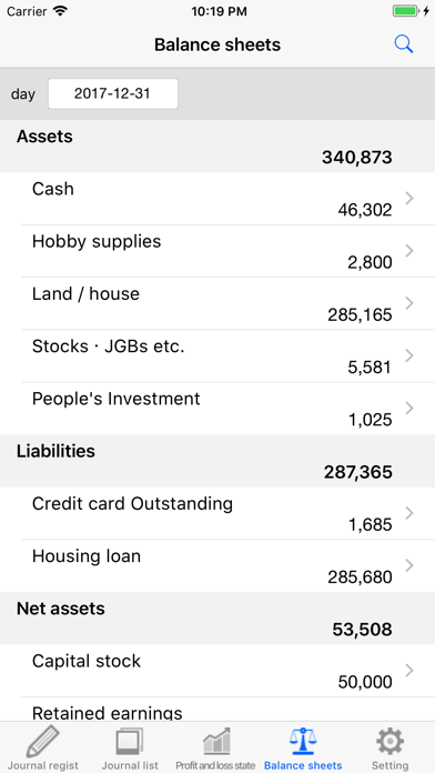 Profit and loss statement Screenshot