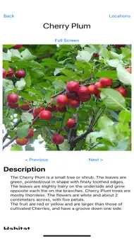 Forage - Wild Free Food iphone bilder 2