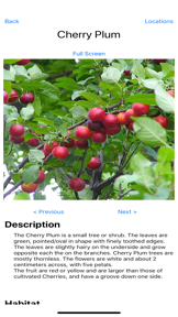 Forage - Wild Free Food screenshot