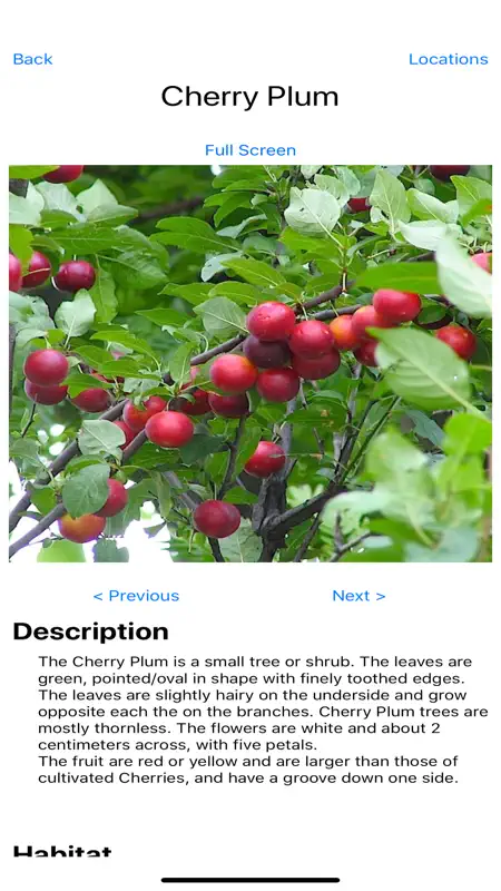 Forage - Wild Free Food screenshot 2 of 6