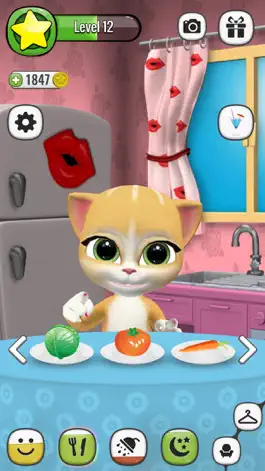 Game screenshot My Talking Cat Emma hack