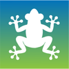 Bermuda Tree Frog - Government of Bermuda