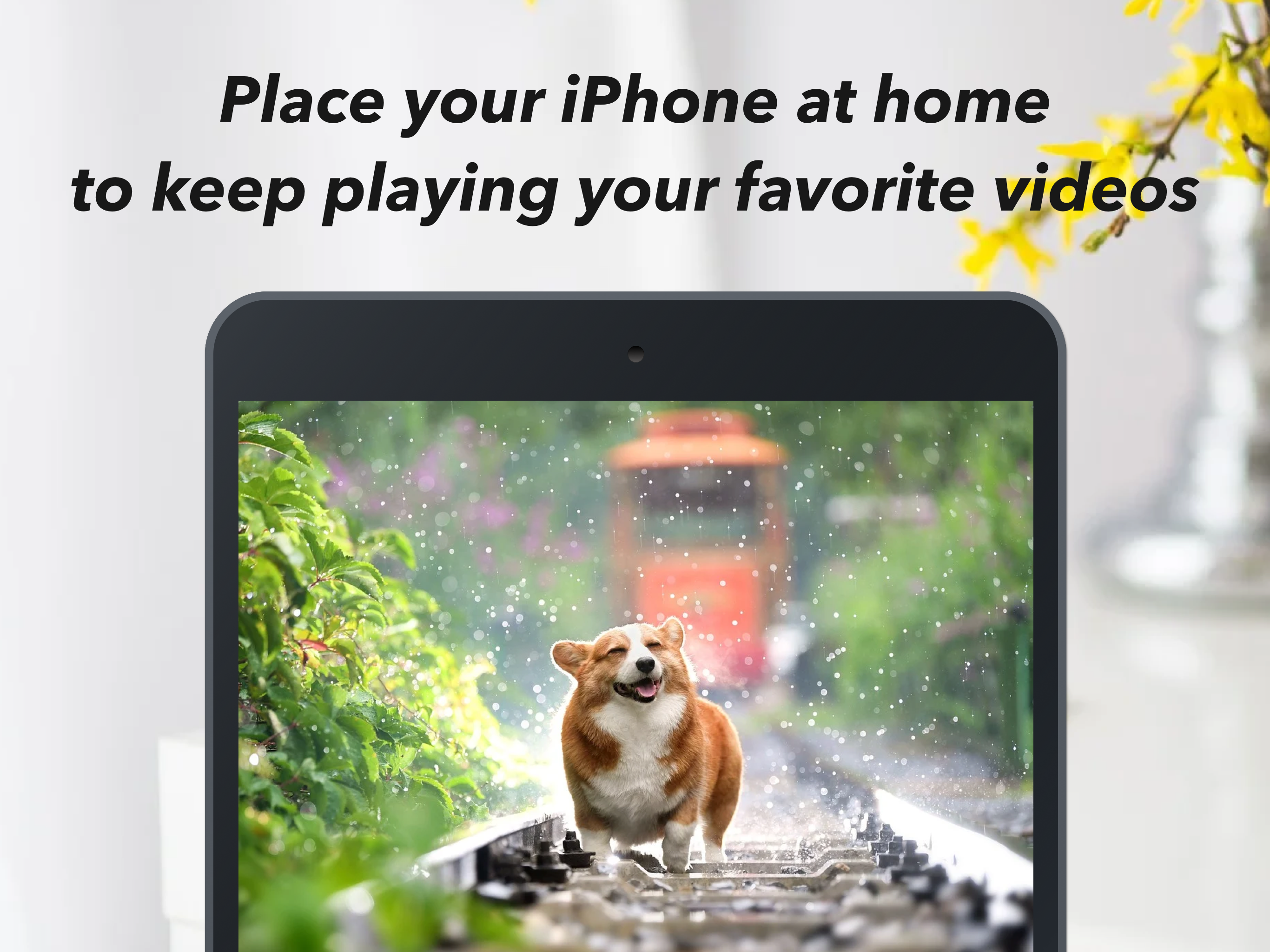 Video Slides screenshot 5