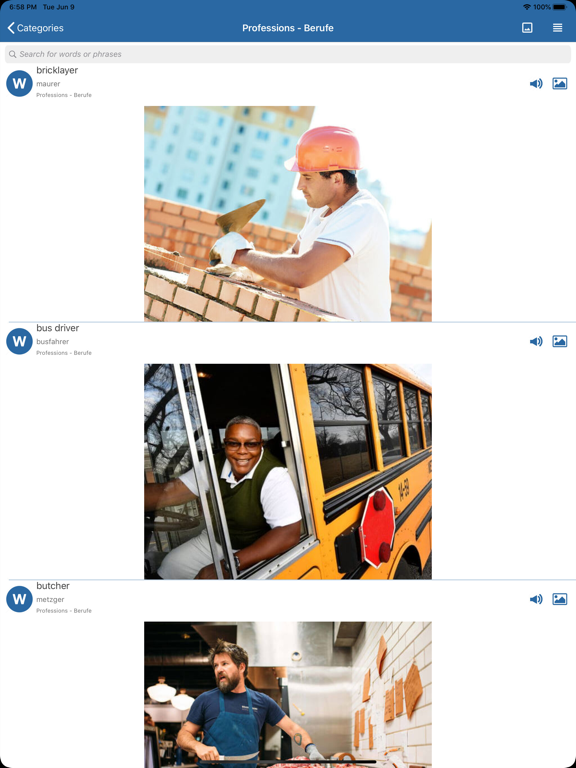 English Picture Dictionary Pro iPad screenshot 9 - Travel app