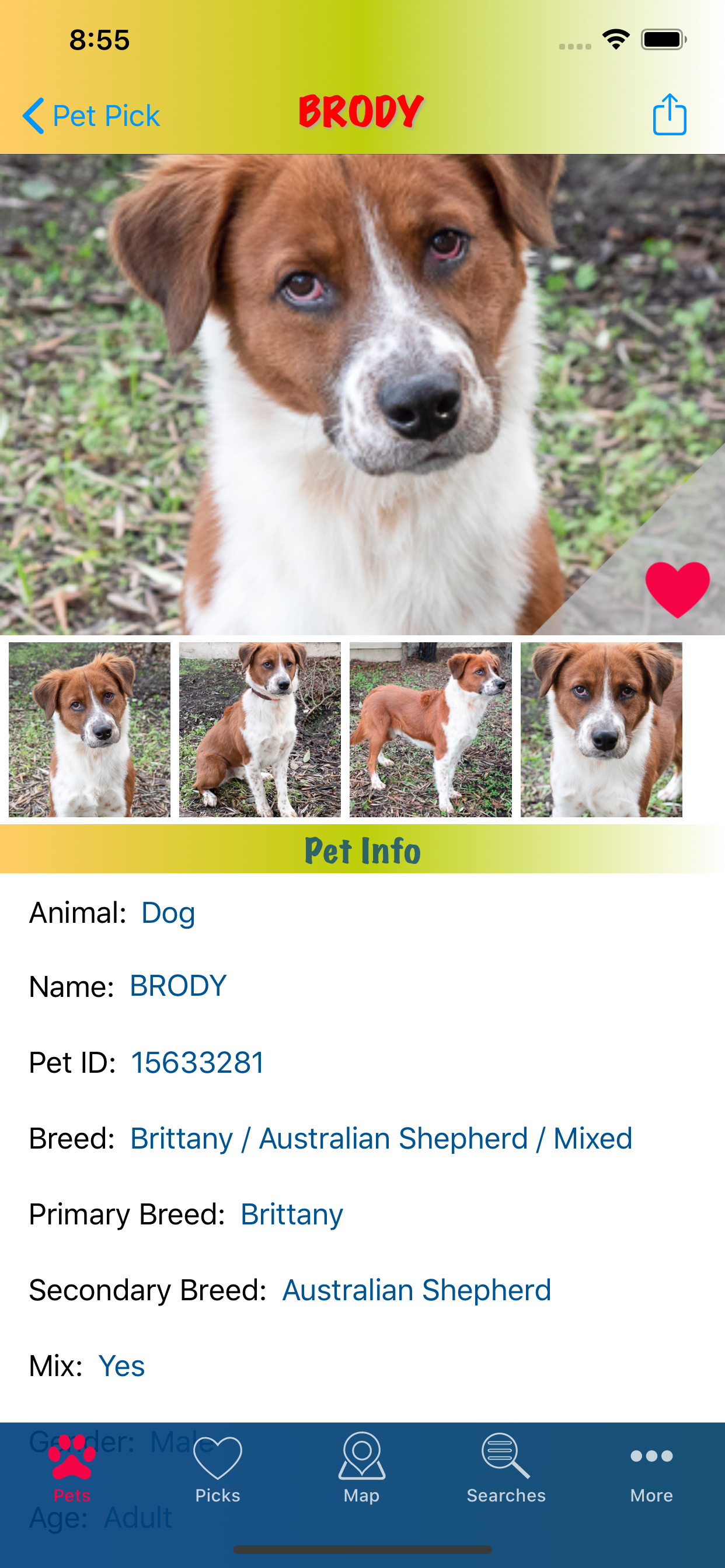 Pet Pick screenshot 5