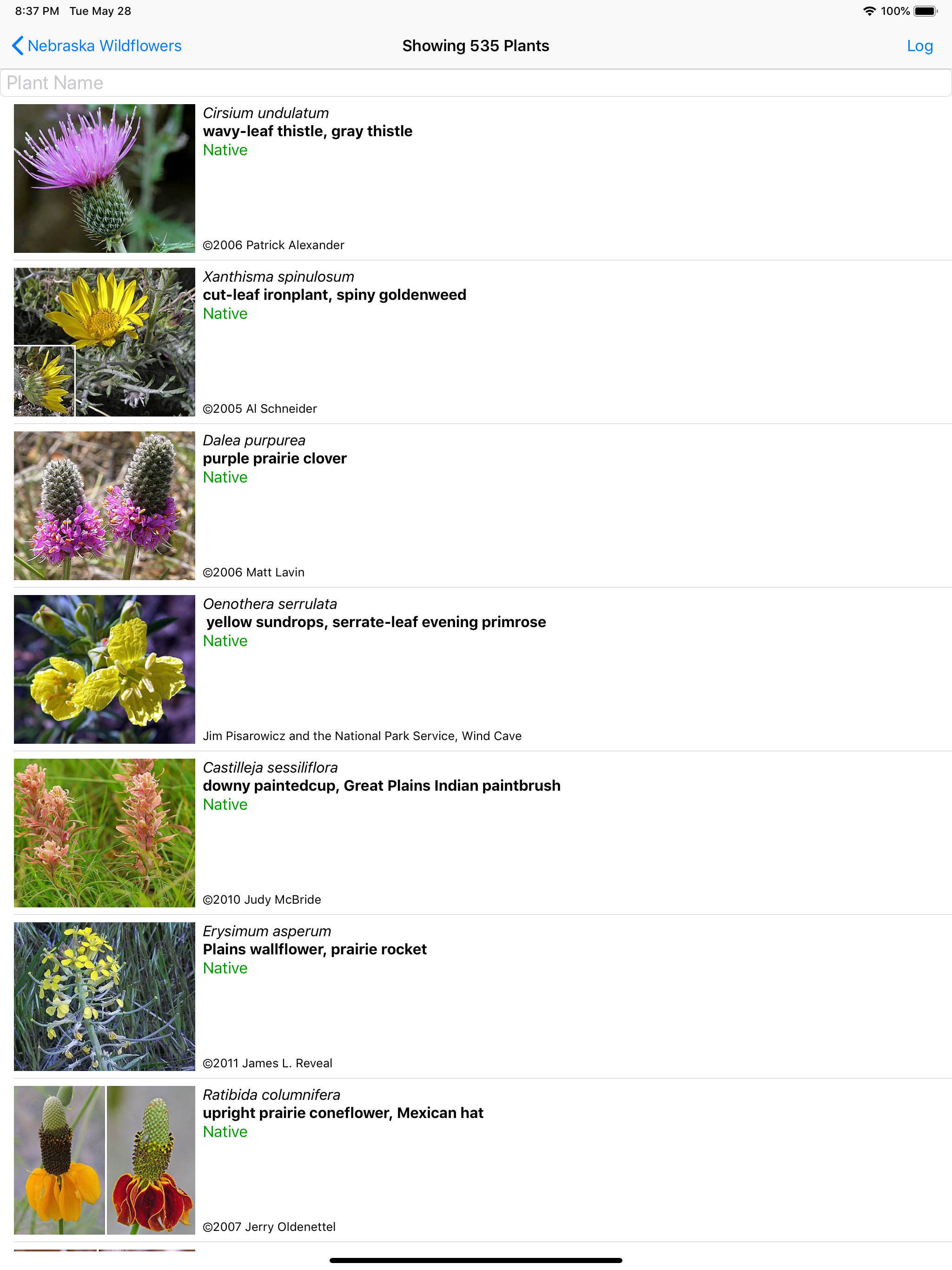 Nebraska Wildflowers