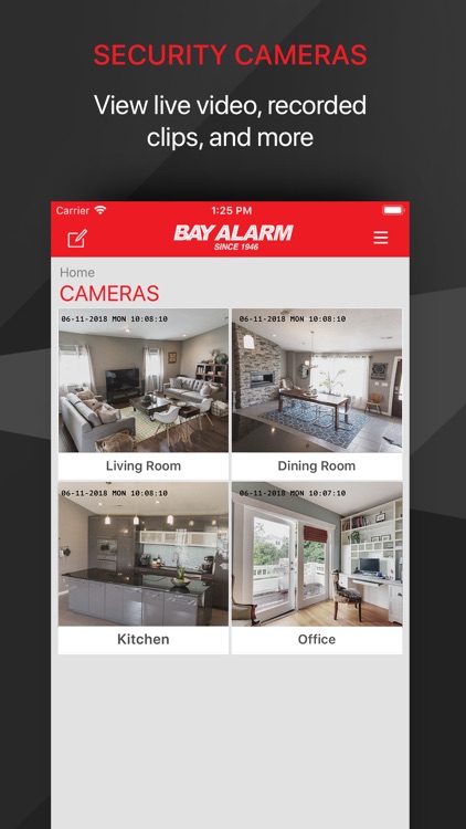 Bay Alarm Link screenshot-3