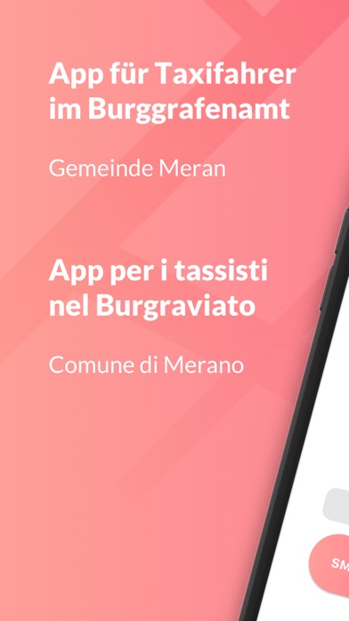 Screenshot #1 pour Taxi Service Meran