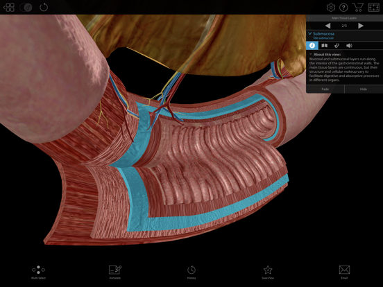 Physiology & Pathology iPad app afbeelding 6