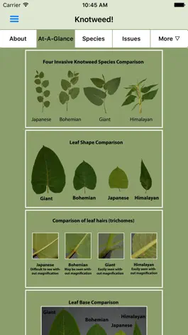 Game screenshot Knotweed! mod apk