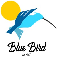 Blue bird 1981 pour PC