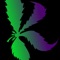 Search through our cannabis business directory and find the best dispensary near your location, strains, or cannabis delivery service
