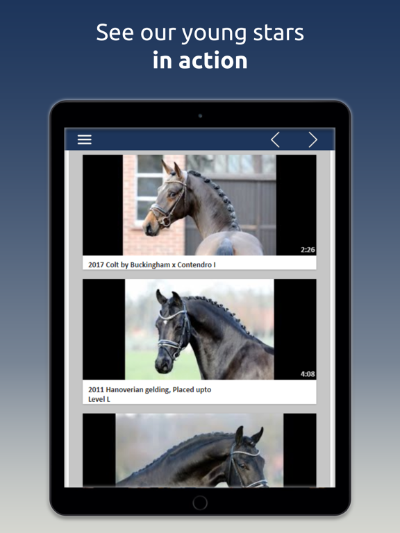 Screenshot #6 pour Supreme Sport Horses