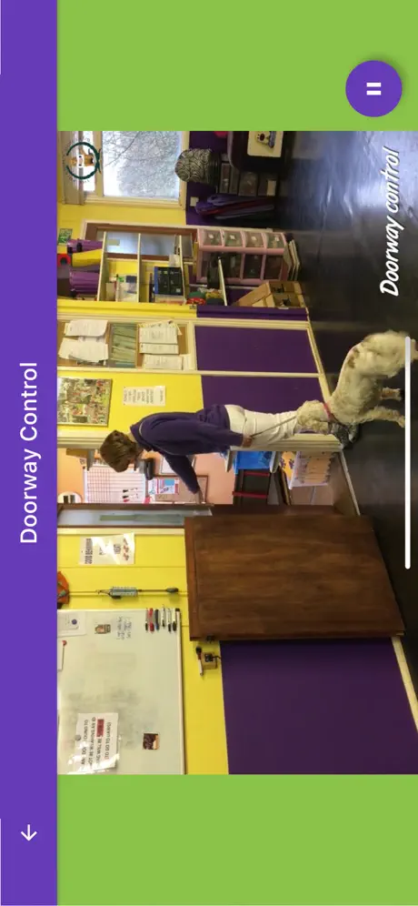 Dog Training: The Next Steps