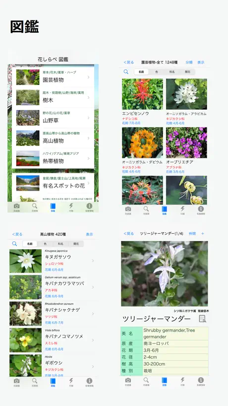 TapZap AI: Person Remover