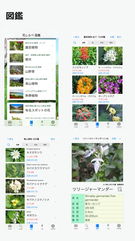 花しらべ 花認識/花検索 screenshot 3 of 4