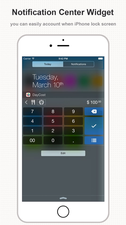 #2. DayCost Pro - Personal Finance (iOS) Av: 良峰 侯