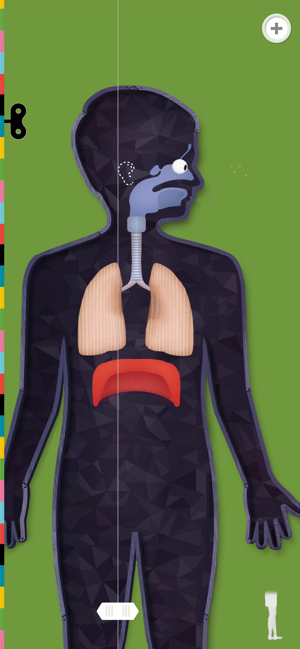 遊びながら人体の仕組みがわかるアプリ The Human Body あそんでまなぼう あそびまなびソース 遊びながら人体の仕組みがわかるアプリ The Human Body あそんでまなぼう あそびまなびソース
