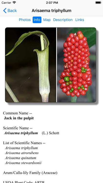 North Dakota Wildflowers