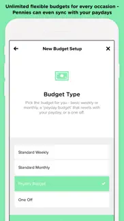 pennies – budget and expenses iphone screenshot 4