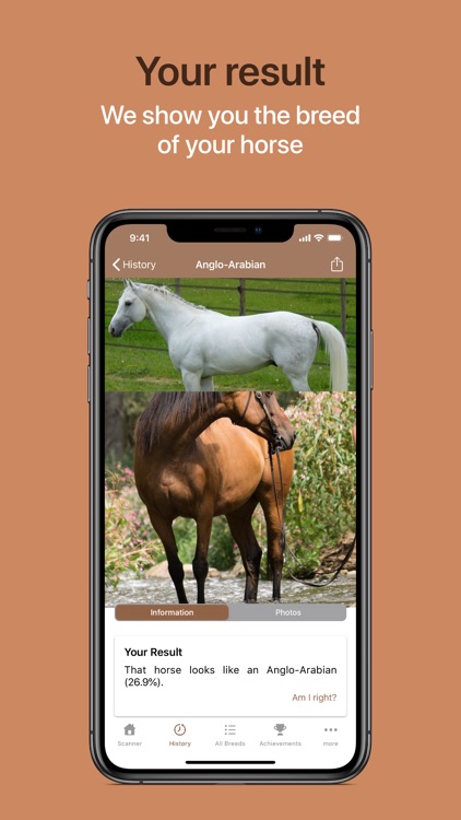 Horse Scanner