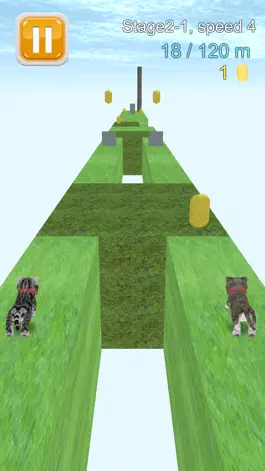 Game screenshot Cat Run - kitten running game apk