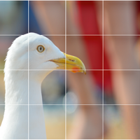 4x4 Sliding Picture Puzzle