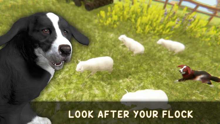 Silly Sheep Run- Farm Dog Game