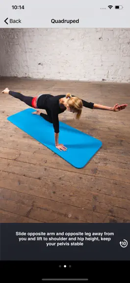 Game screenshot Postnatal Pilates (Lite) apk