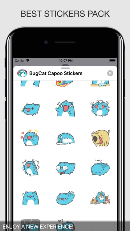 BugCat Capoo Stickers screenshot-4