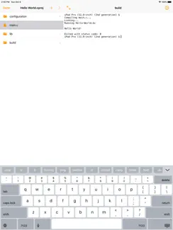 SeeLess - C Compiler iPad image 3