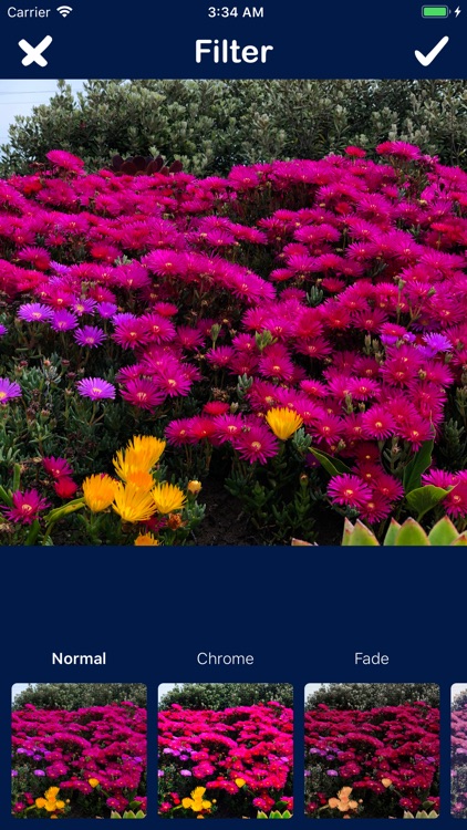 Bhole Bhakt screenshot-4