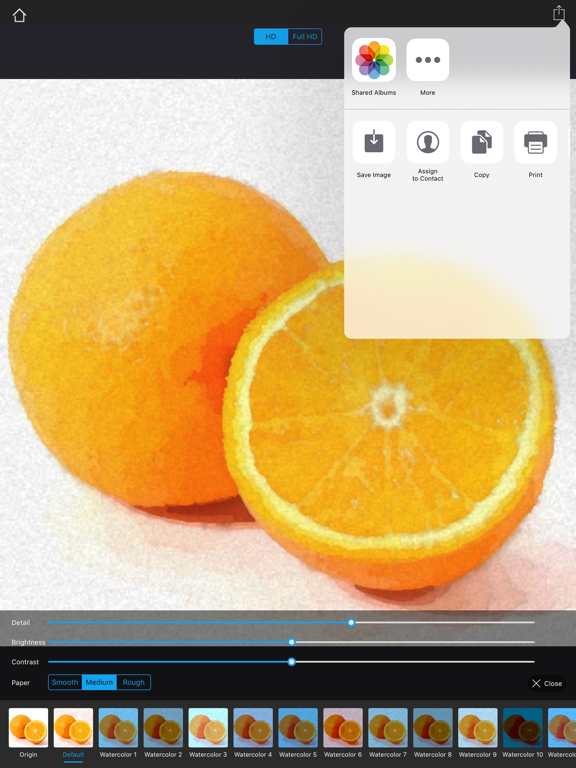 Watercolorizer-photo artist iPad screenshot 10 - Photo & Video app