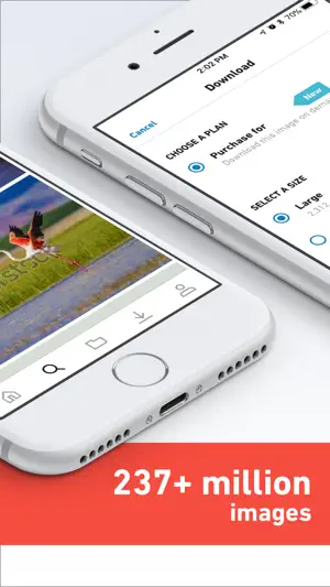 Shutterstock - Stock Photos screenshot 2