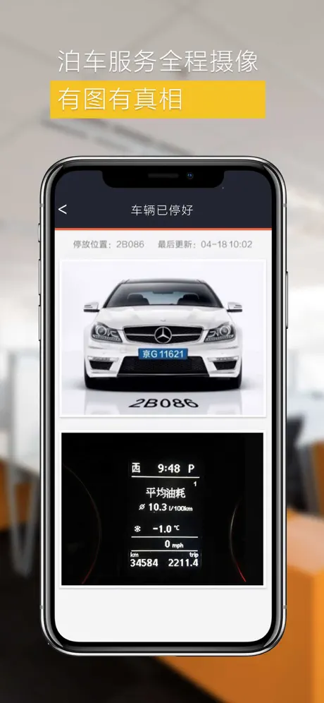 悠泊