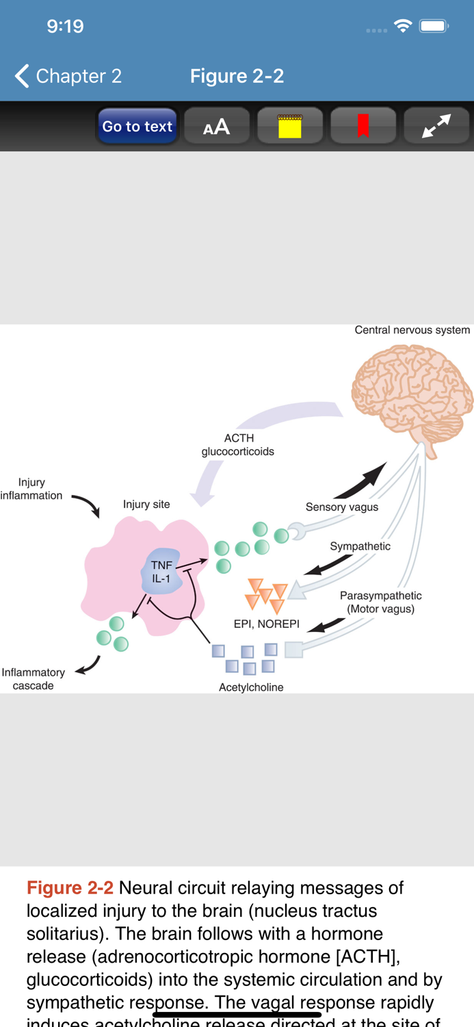 Schwartz’s Surgery 11-E