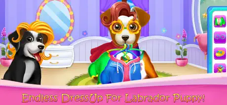 Fluffy Labrador Puppies Salon