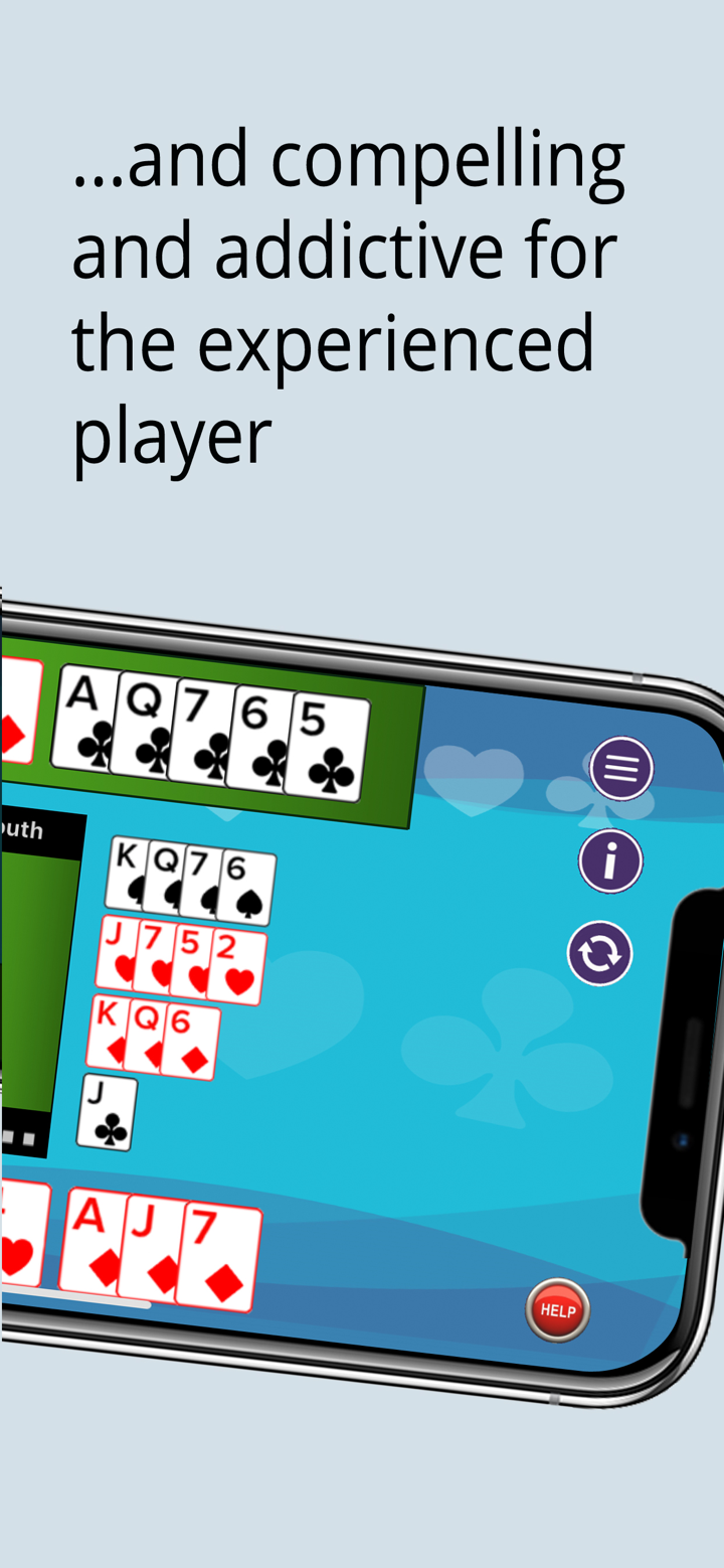 Wiz Bridge + Card Game screenshot 2
