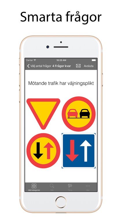 Vägmärken Quiz Lite