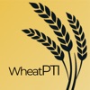 Wheat PTI