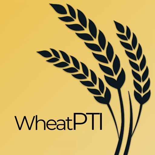 Wheat PTI