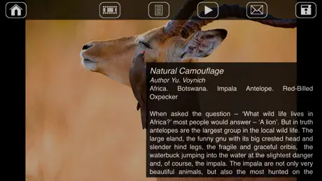 Africa. Wild animals.