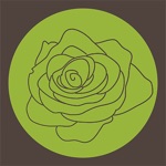 Sleeping Beauty Salon