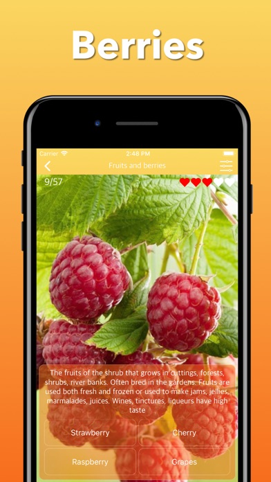 Fruits, Vegetables & Berries iPhone screenshot 6 - Games app
