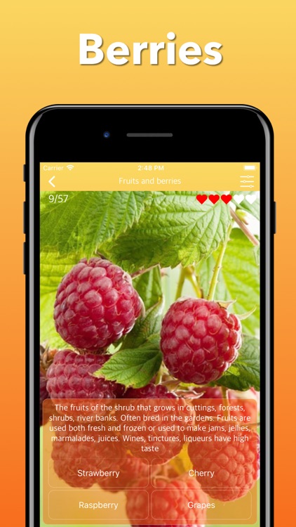 Fruits, Vegetables & Berries screenshot-5