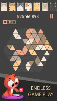 trigon : triangle block puzzle problems & solutions and troubleshooting guide - 2