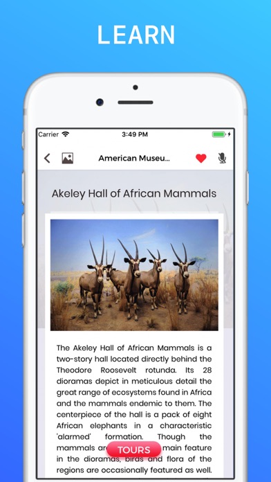 American Museum of Nat History Screenshot