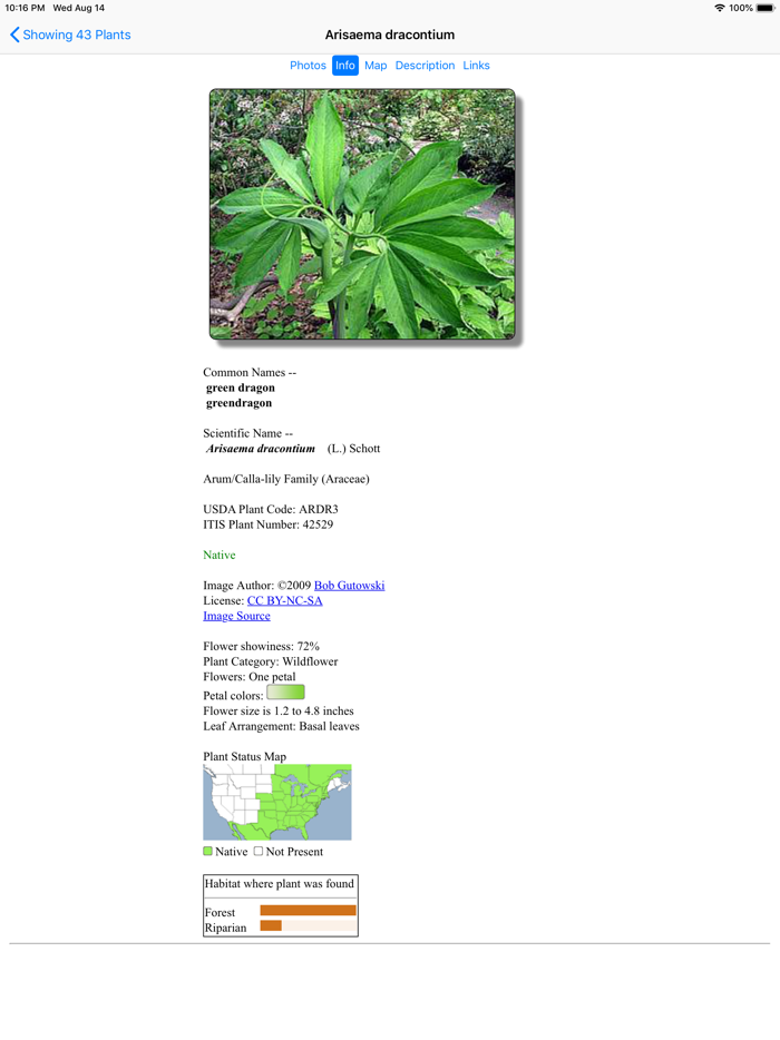 Michigan Wildflowers